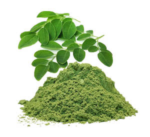 適用于各種產(chǎn)品的多功能辣木植物提取物辣木粉末