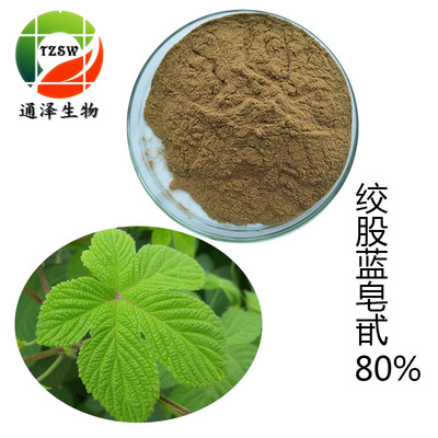 絞股藍80% 絞股藍提取物 直銷