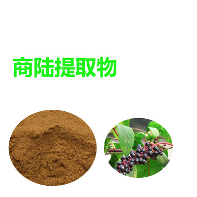 甘肅斯諾特 商陸提取物 免費寄樣品 商陸粉