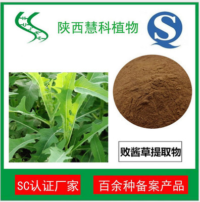 敗醬草提取物10:1 清熱解毒 現(xiàn)貨 品質(zhì)保證 包郵