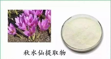 用西瓜給汽車(chē)加油