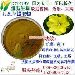 月見草提取物限時促銷，西安維特生物科技為您帶來純正植物精華